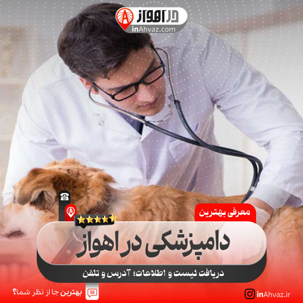 فیزیوتراپی و توان‌بخشی حیوانات خانگی آریل اهواز